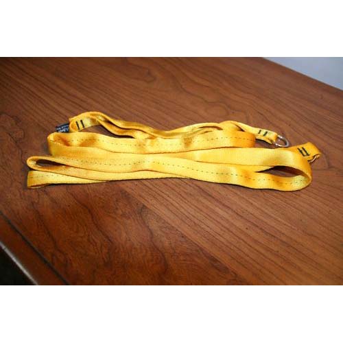 leash